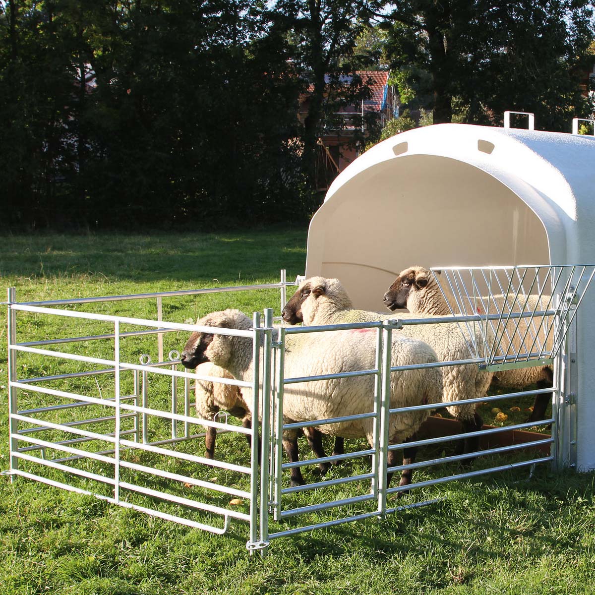 4x Steckfixhorde für Schafe mit Tor 1,83 x 0,92 m