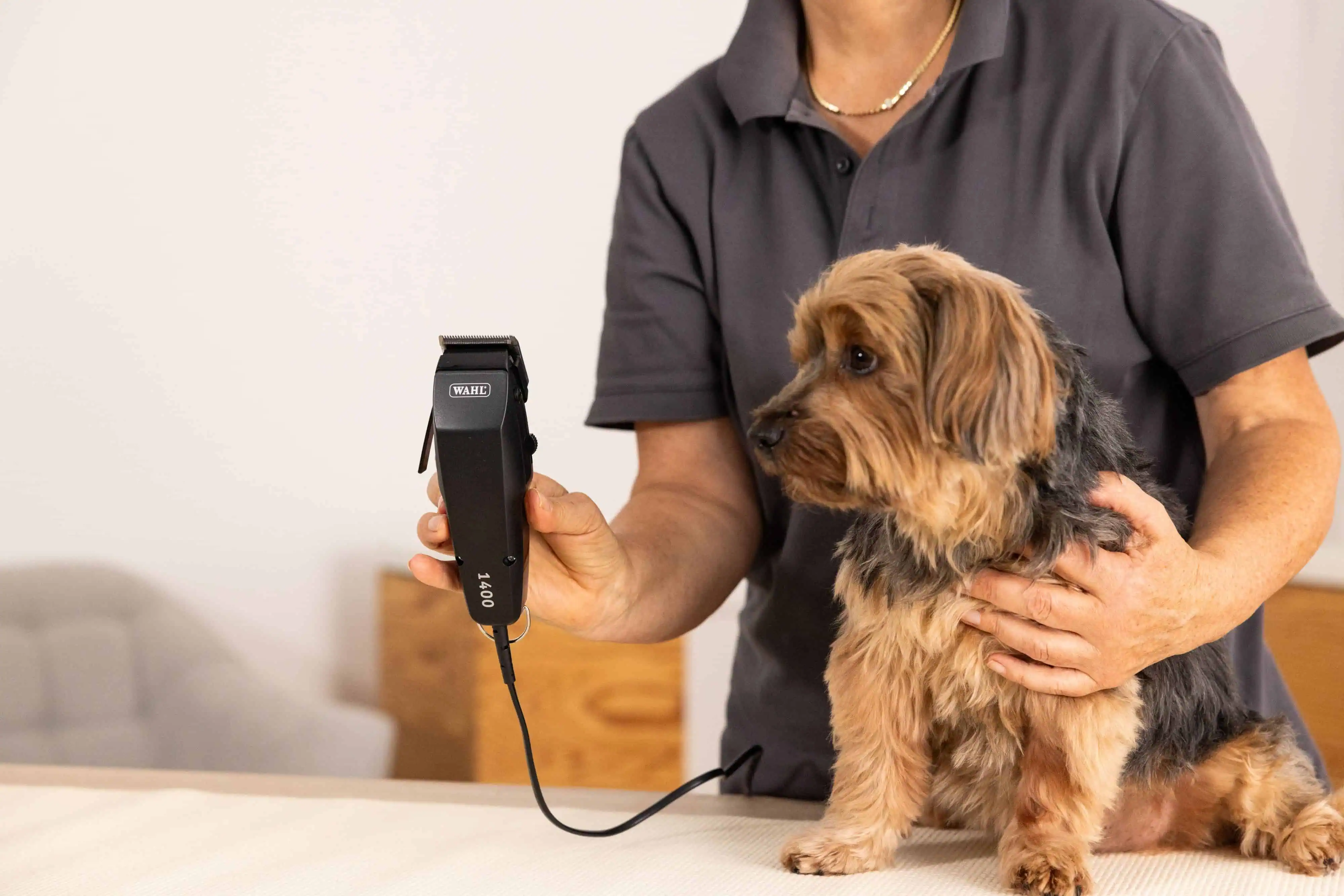 Unglaublich Leise – Ideal für Geräuschempfindliche Tiere