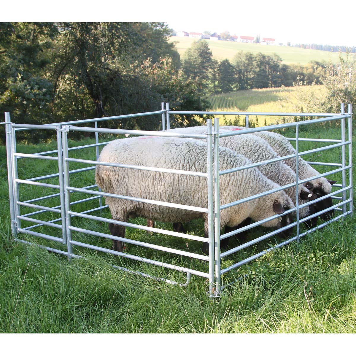 4x Steckfixhorde für Schafe mit Tor 1,83 x 0,92 m
