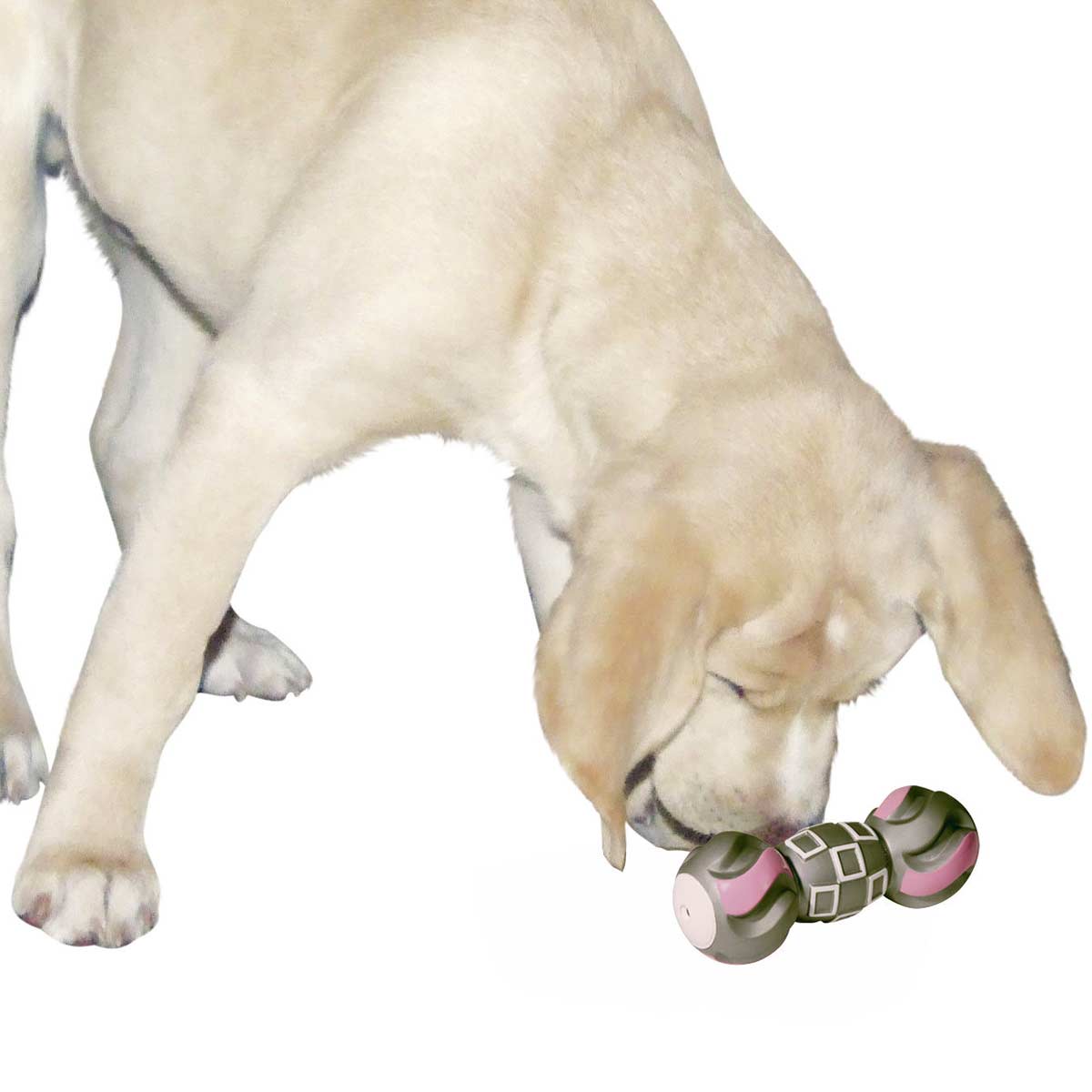 Vinyl Hundespielzeug Hantel mit Squeaker 19 cm