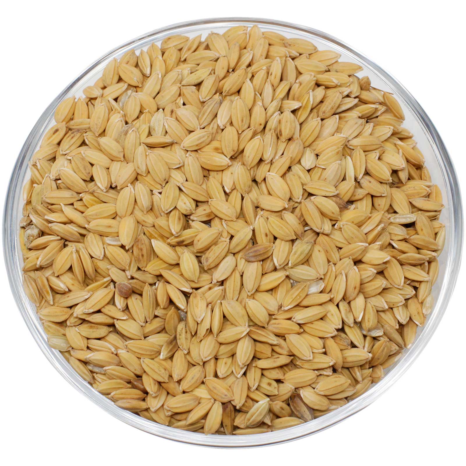 Leimüller Paddy-Reis 5 kg