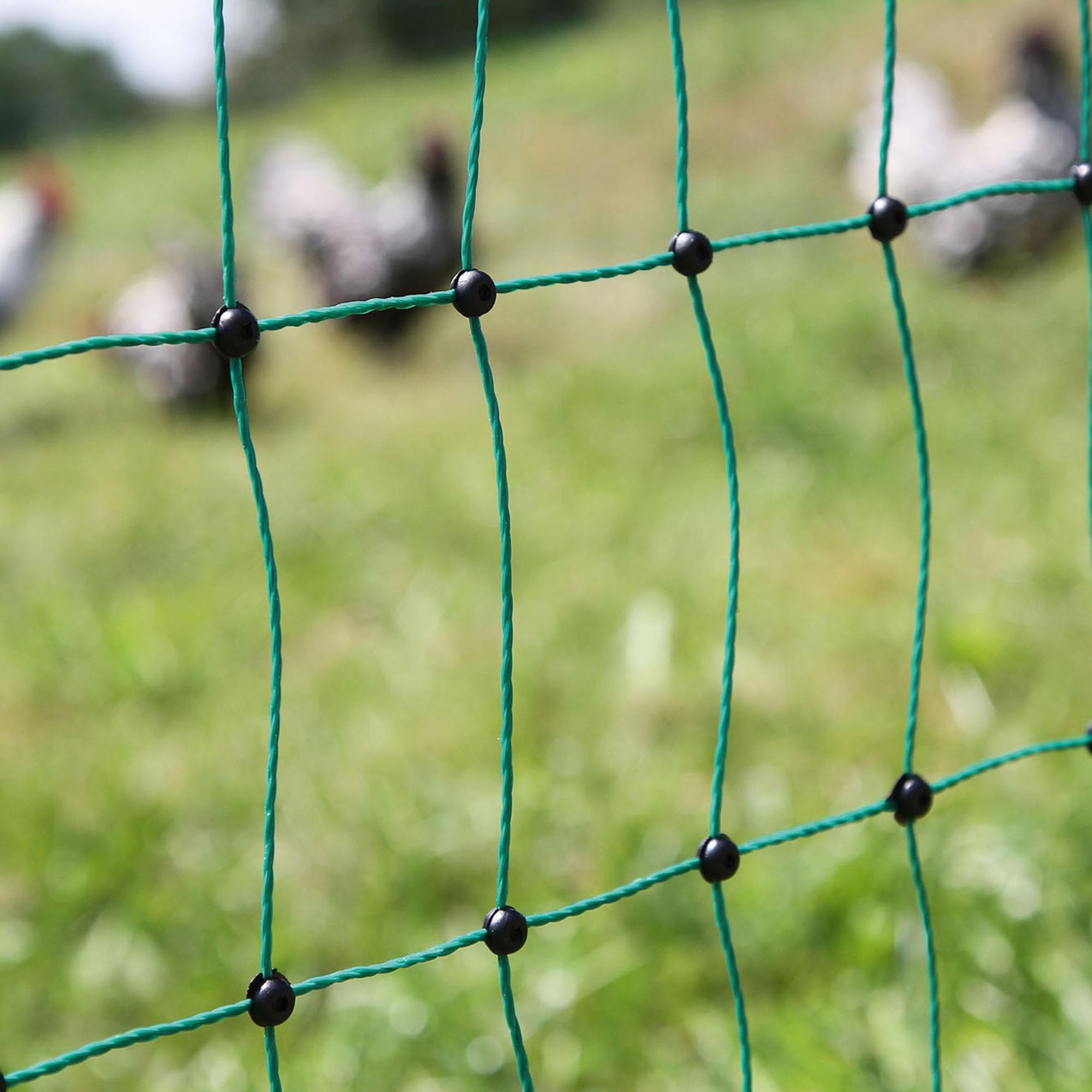 Kerbl Geflügelnetz Poultrynet grün 112cm 50 m Doppelspitze elektrifizierbar