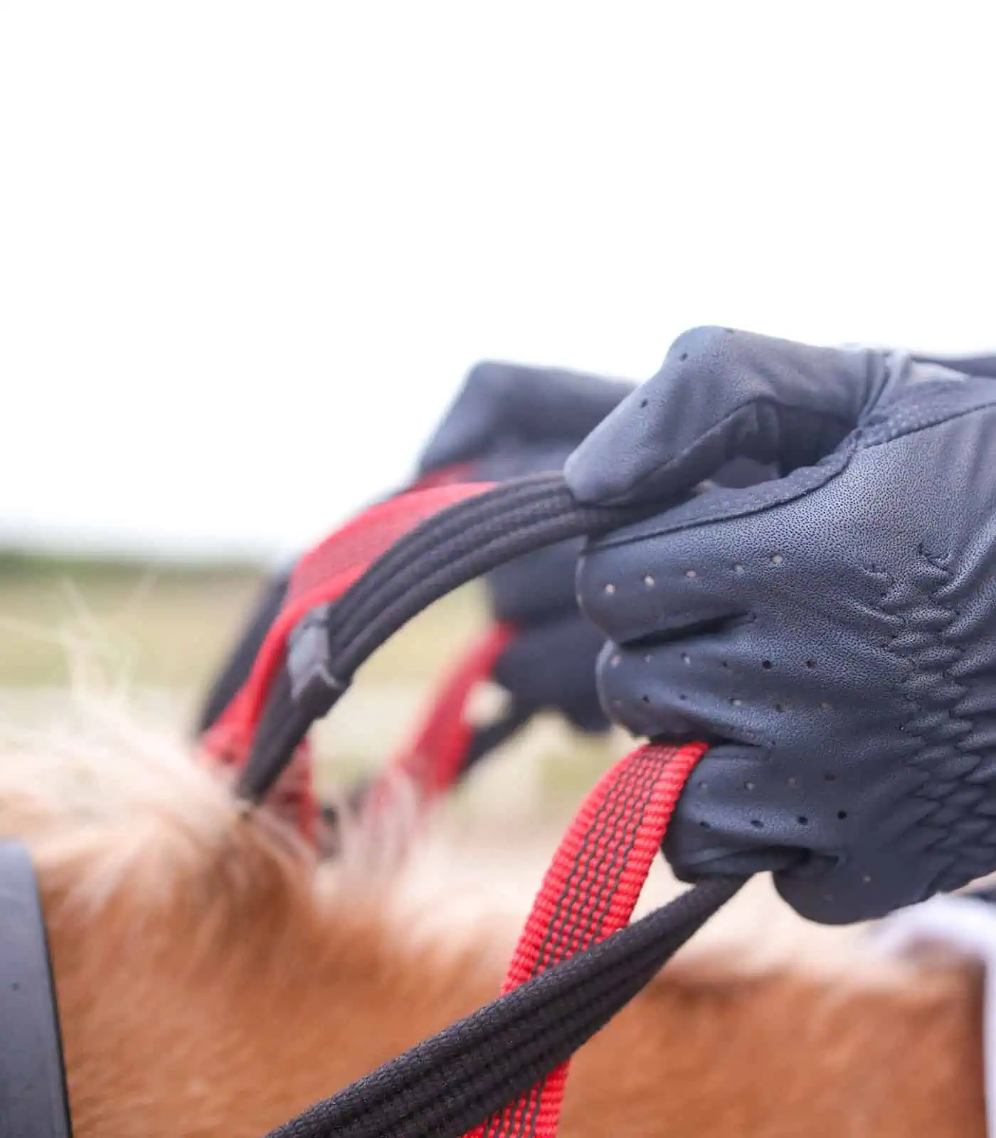 Waldhausen Vorderzeug mit Sicherheitszügel, Pony