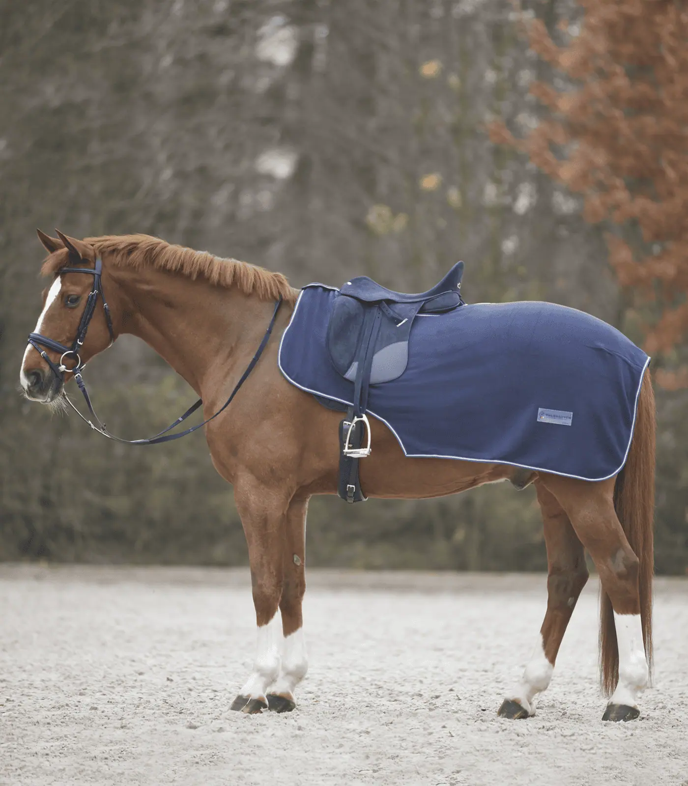 Waldhausen Fleece Nierendecke Economic, nachtblau, Pony