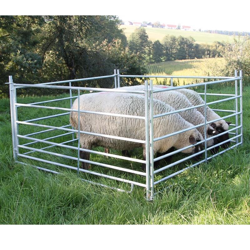 4x Steckfixhorde für Schafe 1,37 x 0,92 m