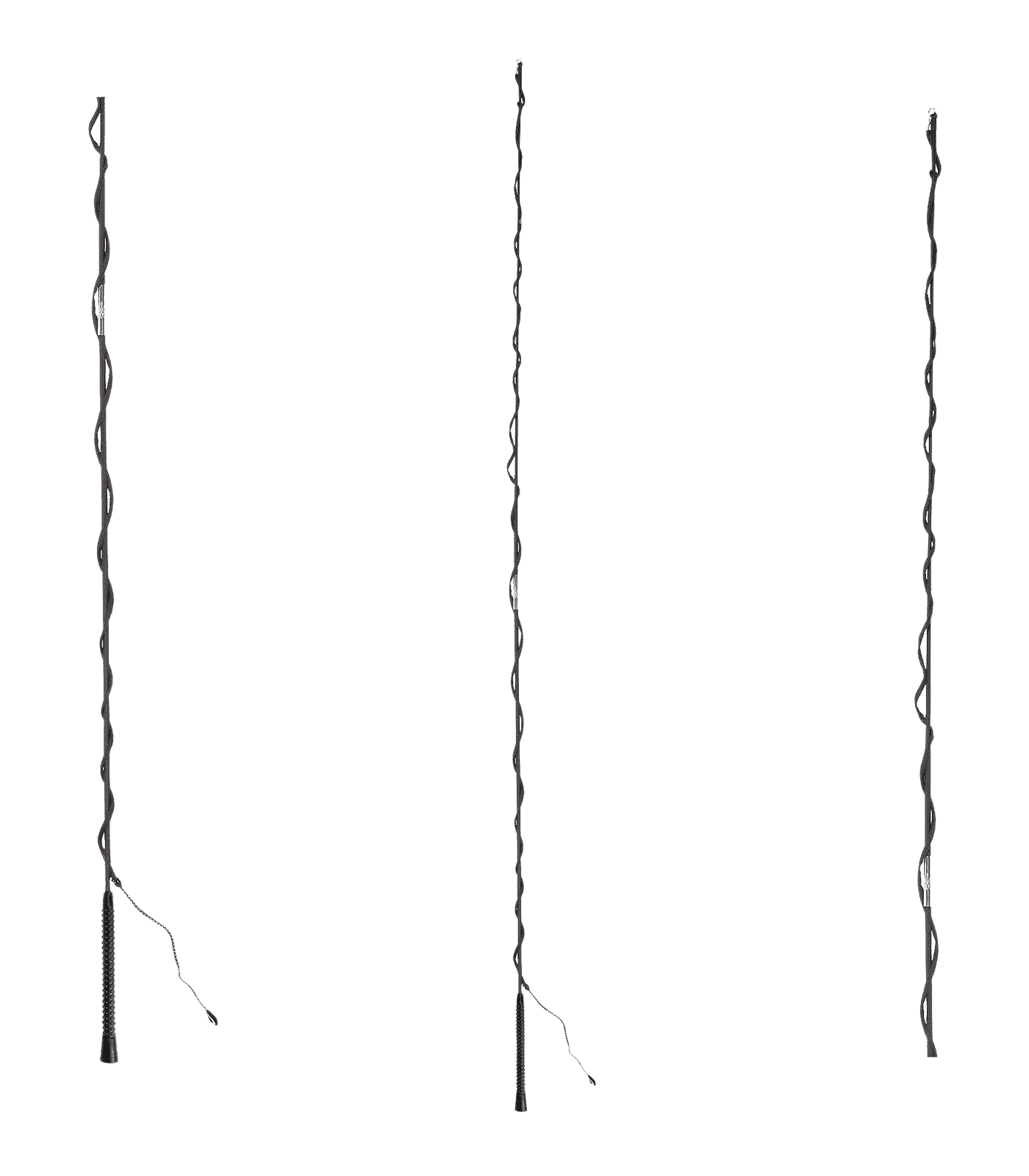 Waldhausen Longierpeitsche zerlegbar, schwarz, 180 cm