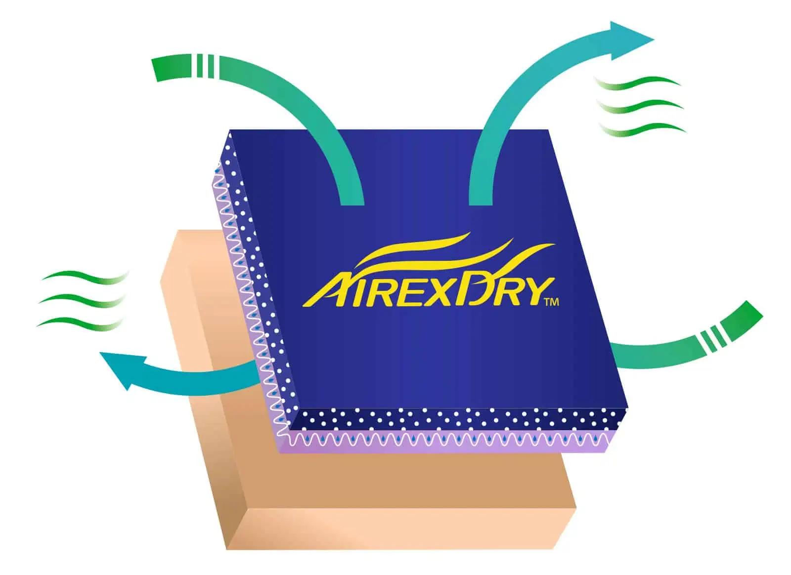 AirexDry 10/XL Nylonhandschuh mit Nitril