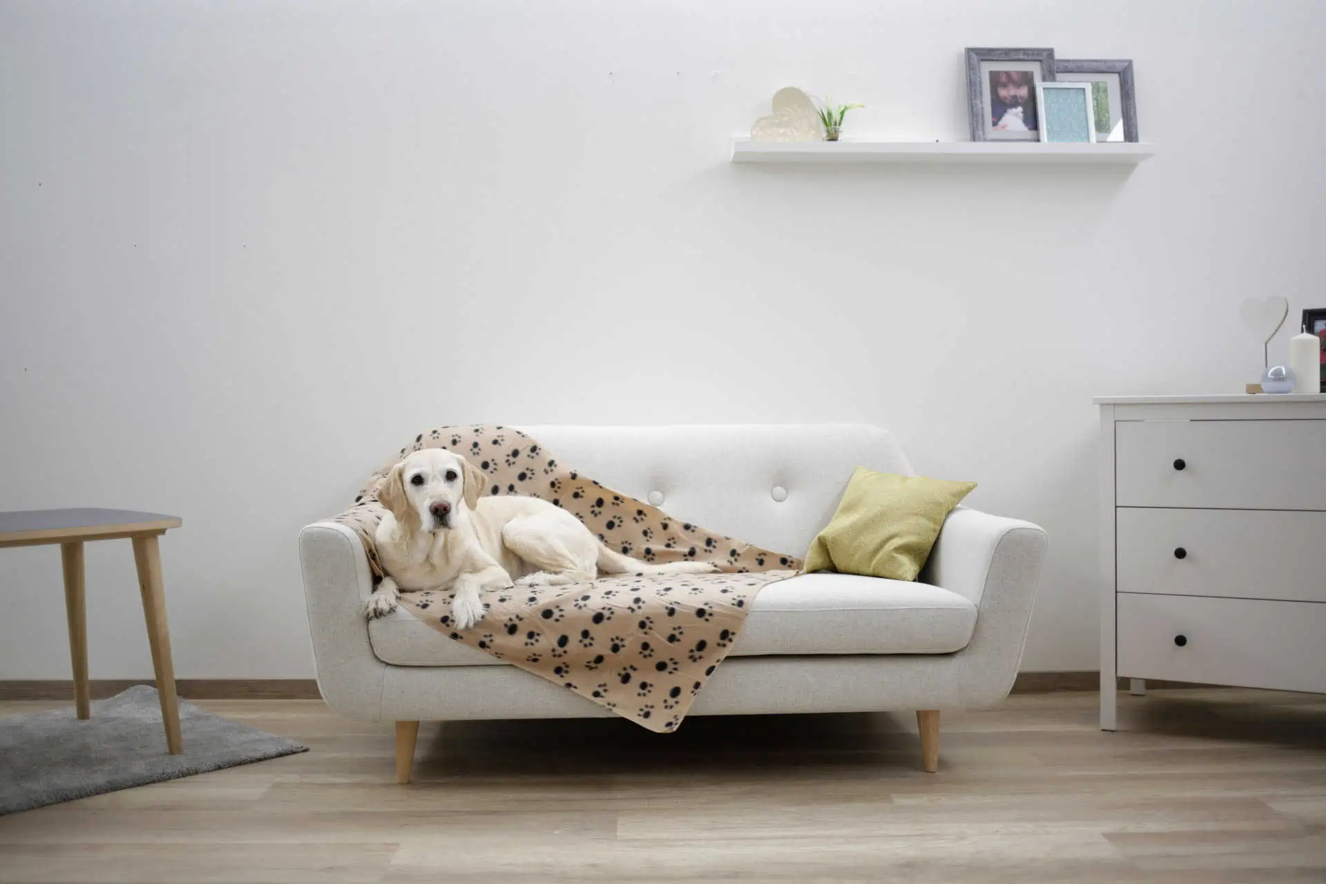 Hundedecke Stella 140x100cm beige mit Pfoten