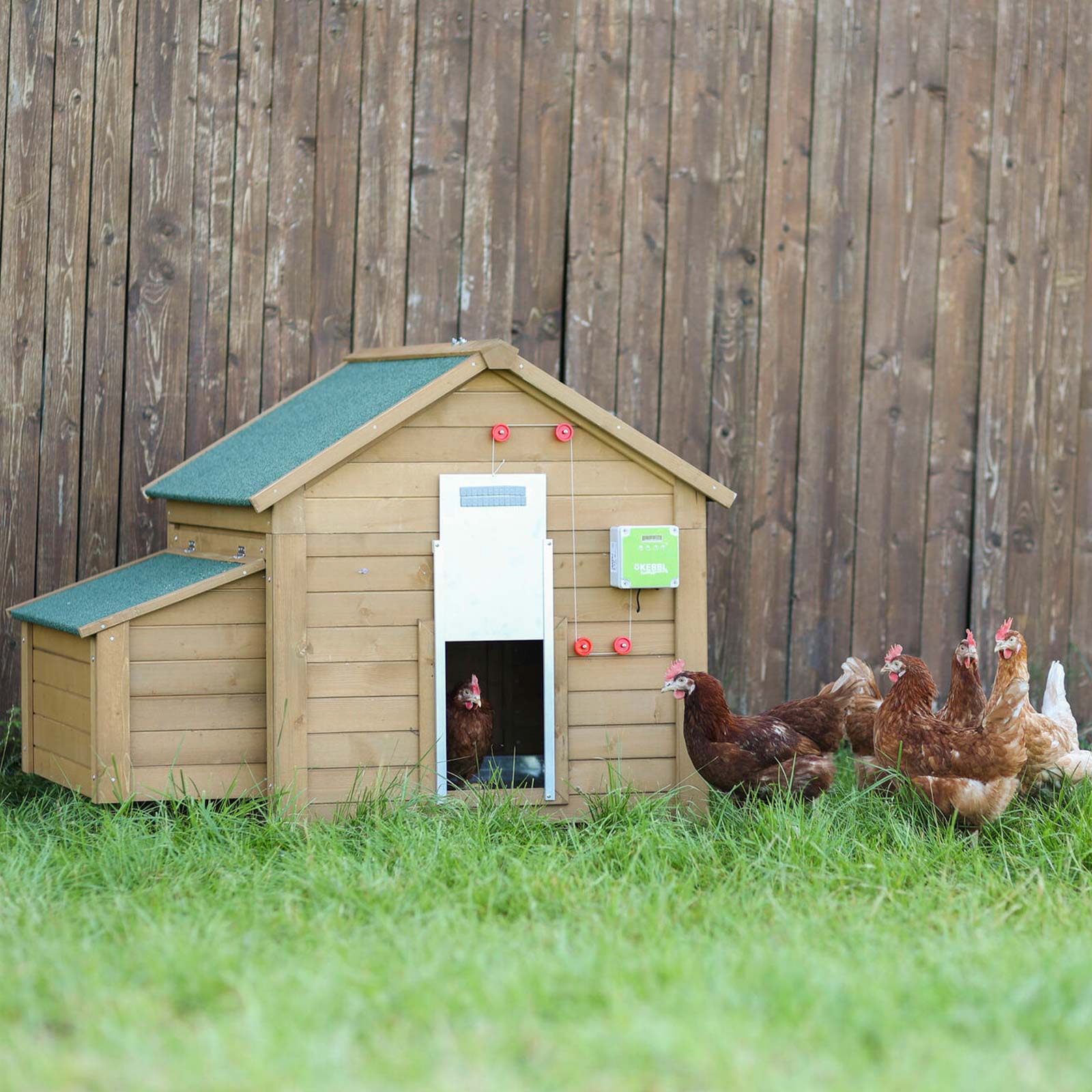 Automatische Hühnerklappe Kerbl Hühnertür elektrisch online kaufen