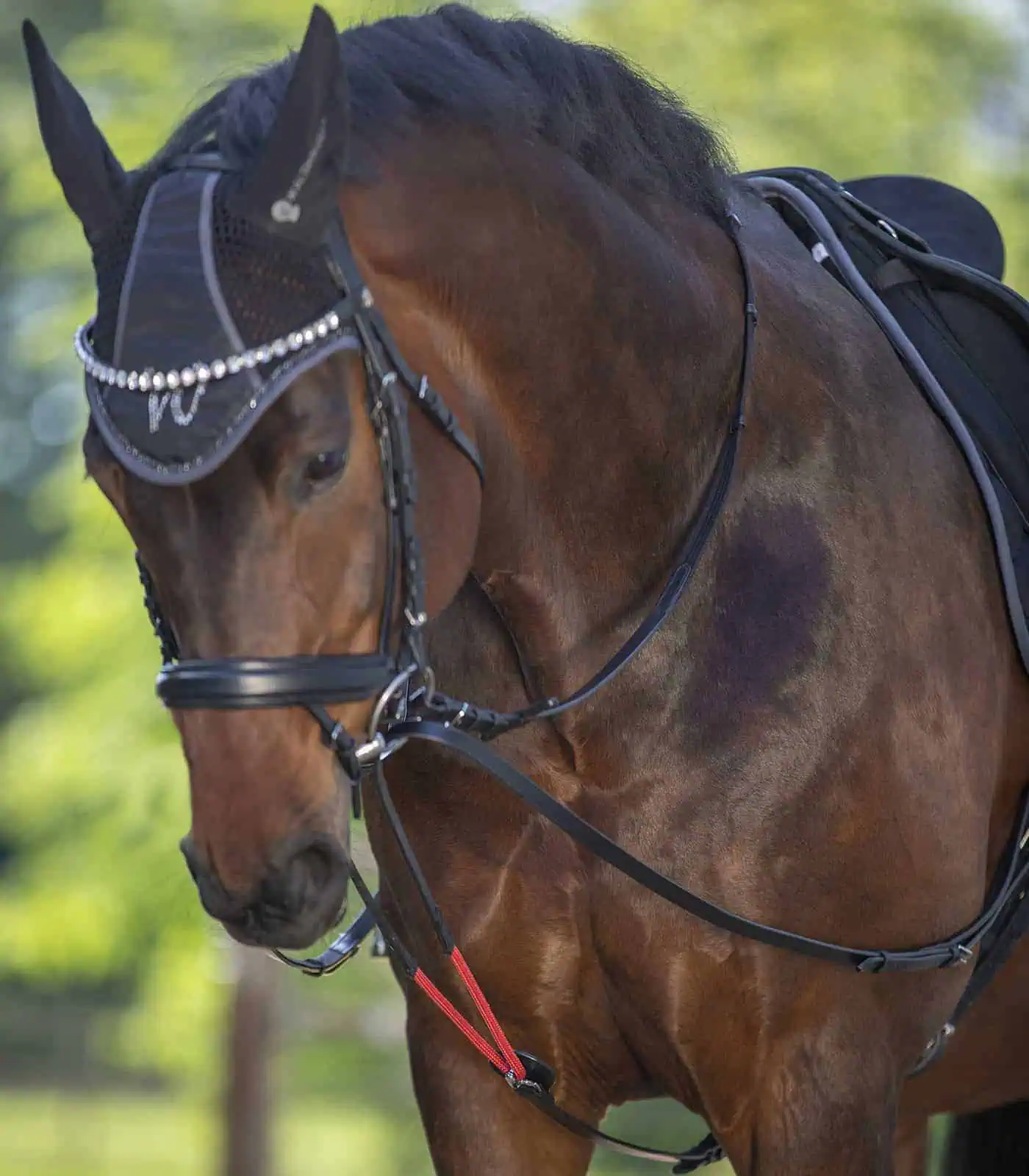 Waldhausen Dreieckszügel W-trainRein, Pony