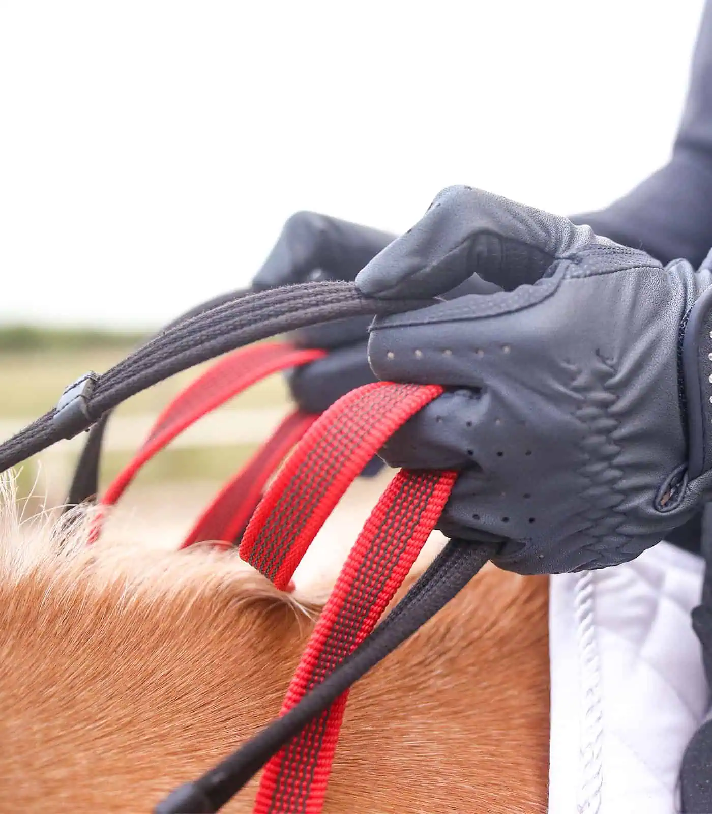 Waldhausen Vorderzeug mit Sicherheitszügel, Pony