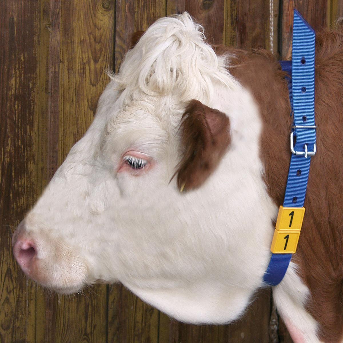 Halsmarkierungsband für Kühe weiß/schwarz 90 cm