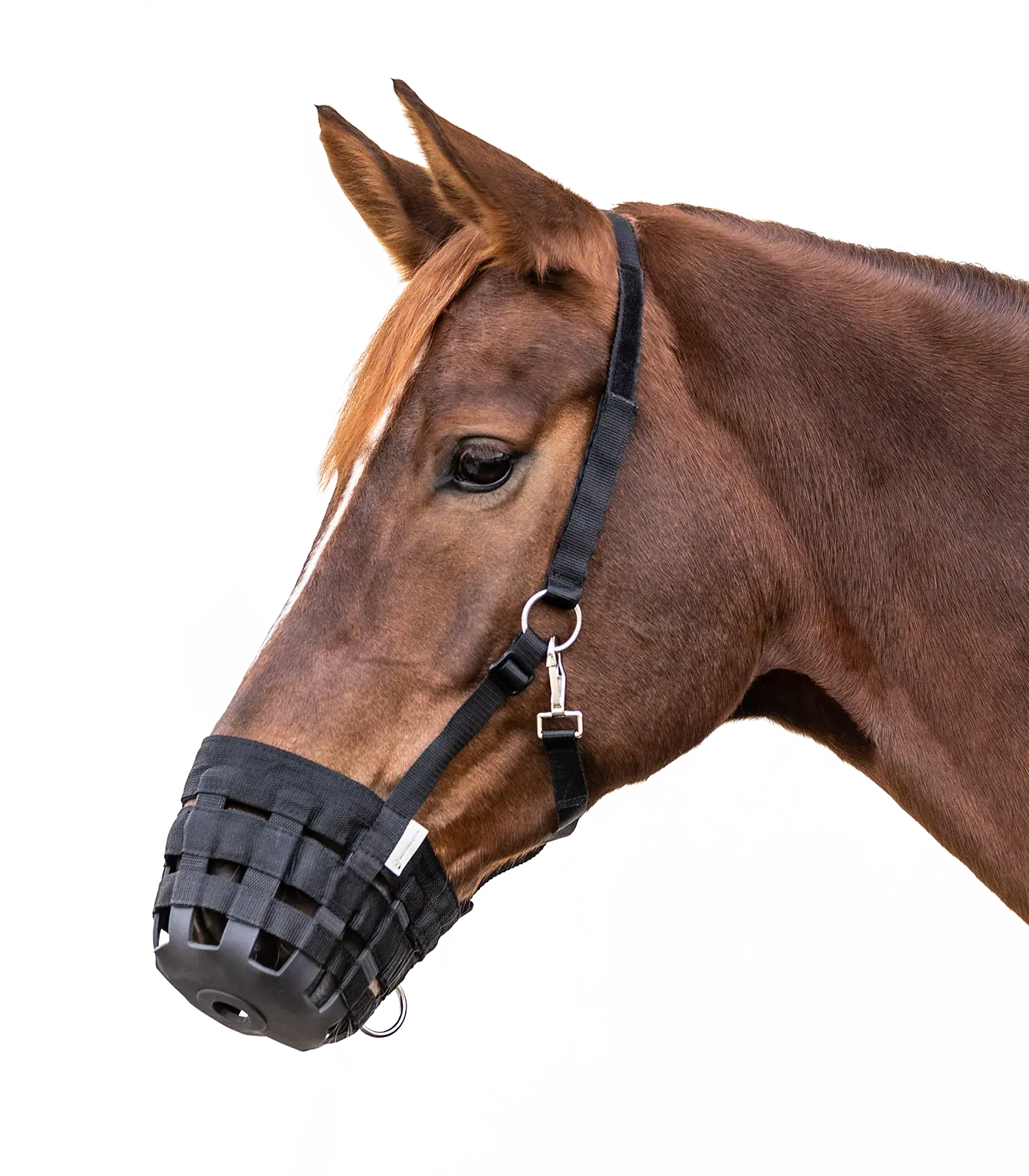 Waldhausen 5-fach verstellbarer Freßschutz, schwarz, Pony
