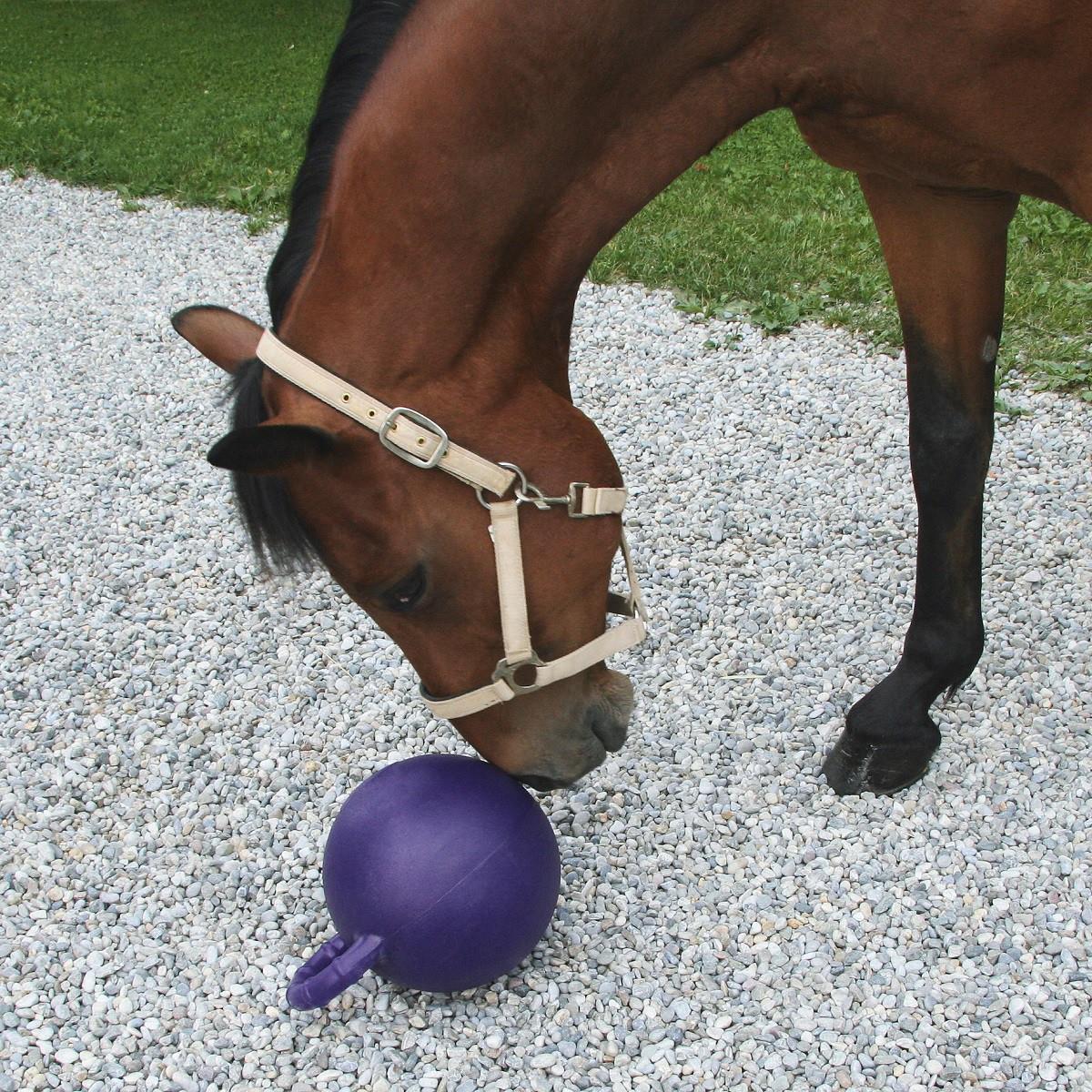 Pferdespielball mit Aroma Apfel