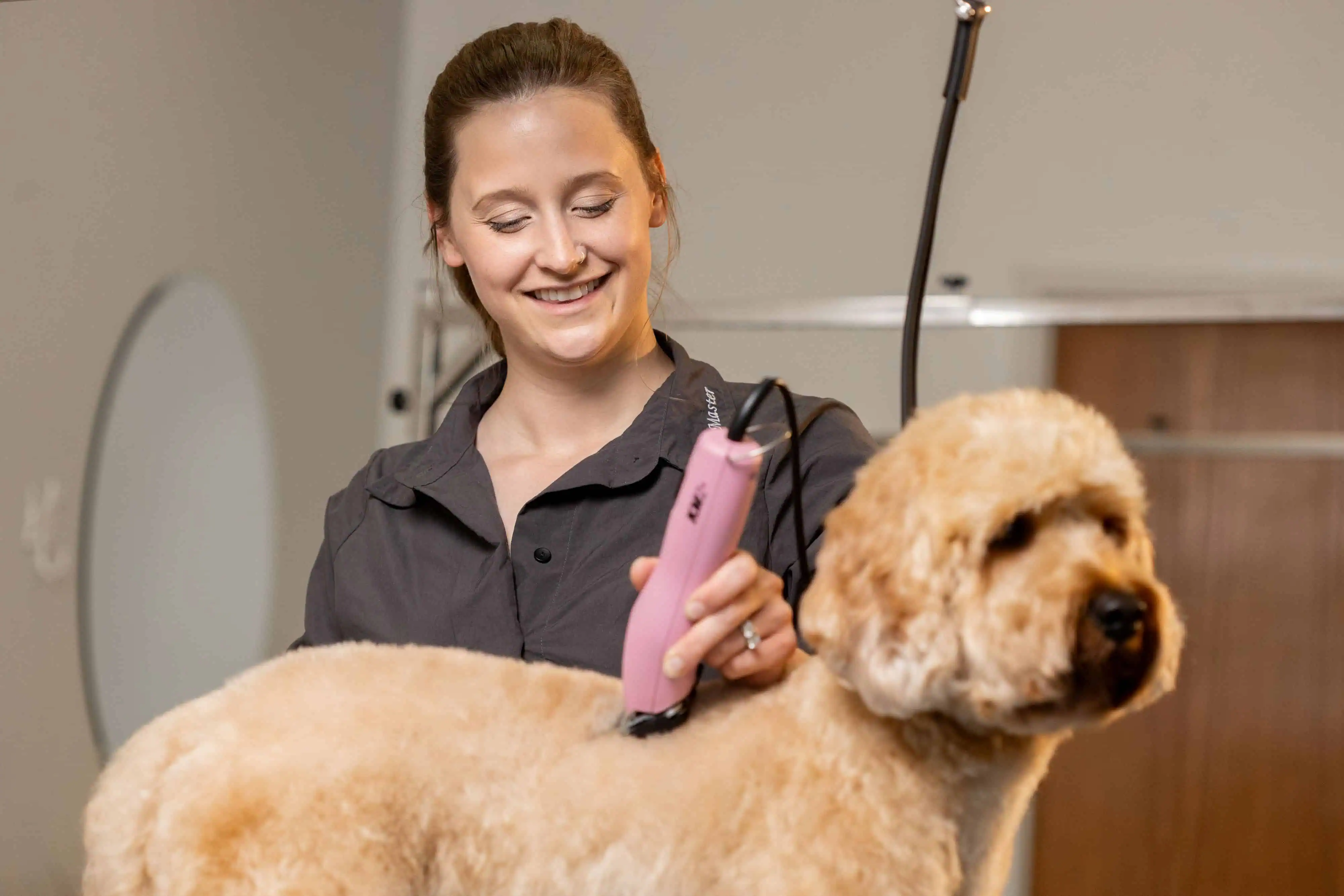 Leiser Betrieb für stressfreies Grooming
