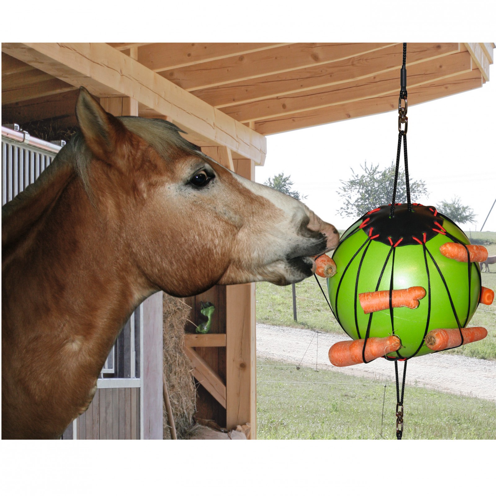 Therapie-Spielball Leckereien für Pferde