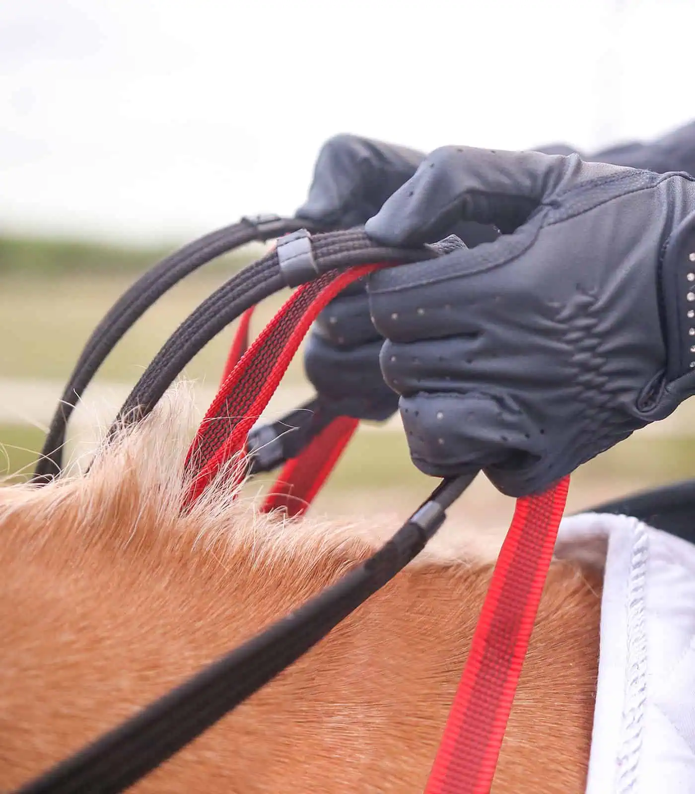 Waldhausen Vorderzeug mit Sicherheitszügel, Pony