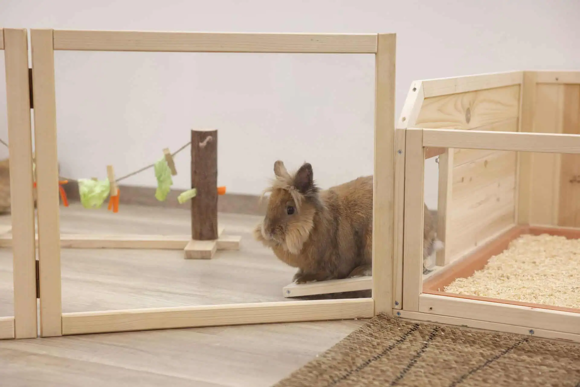 Indoor Raumteiler-Kleintierauslauf