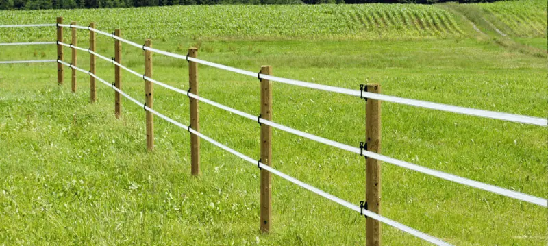 Weidezaunpfähle